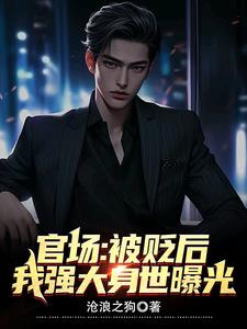 官场被贬后我强大身世曝光小说